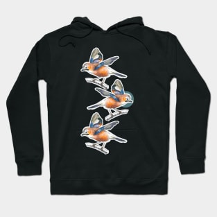 Three birds Hoodie